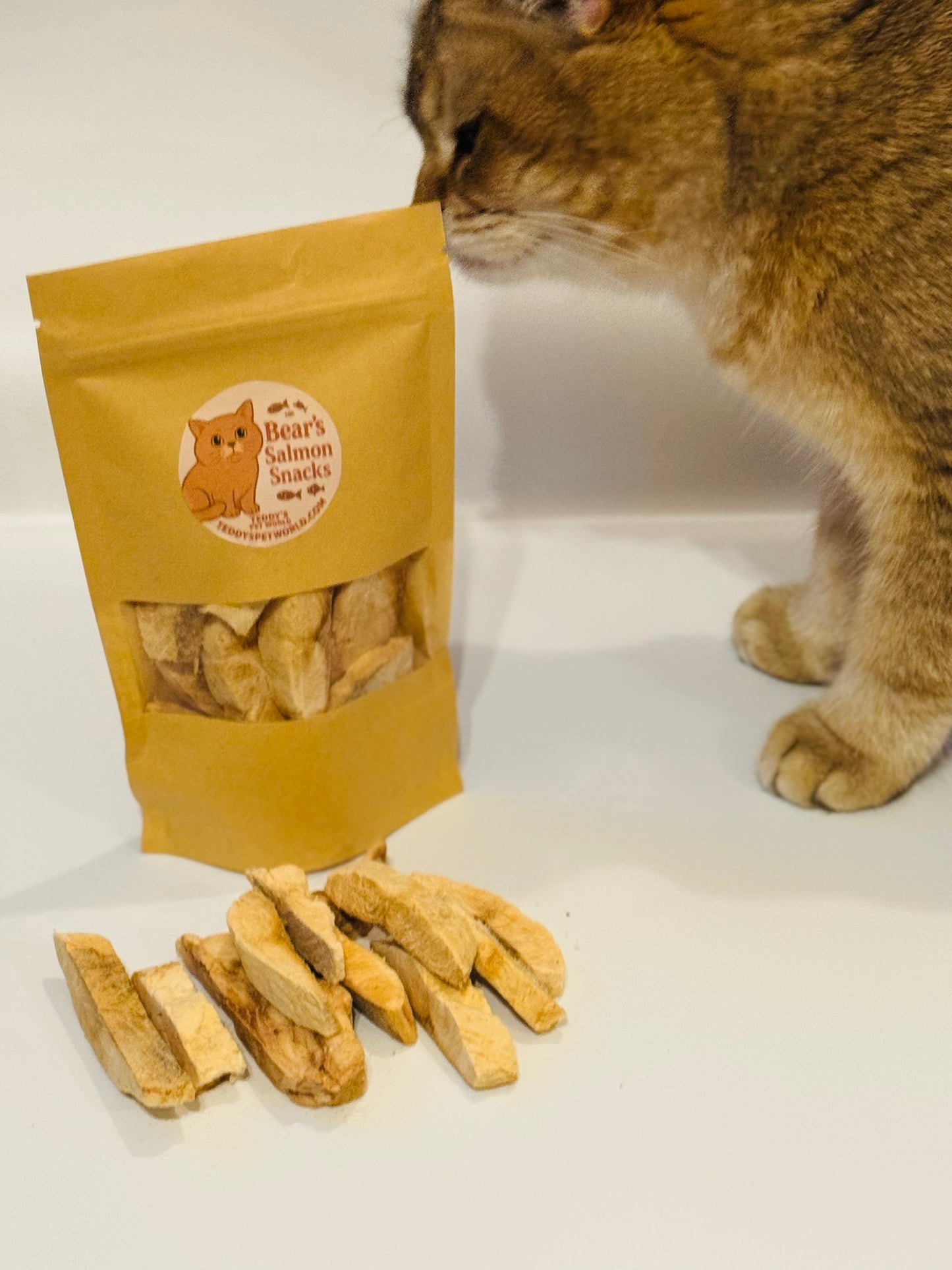 Bear’s Salmon Snacks
