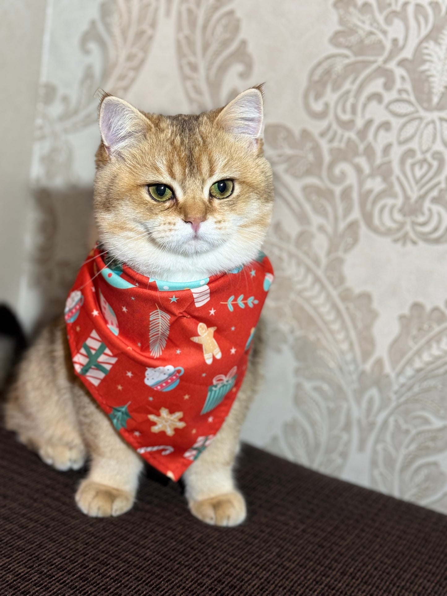 Christmas Bandana