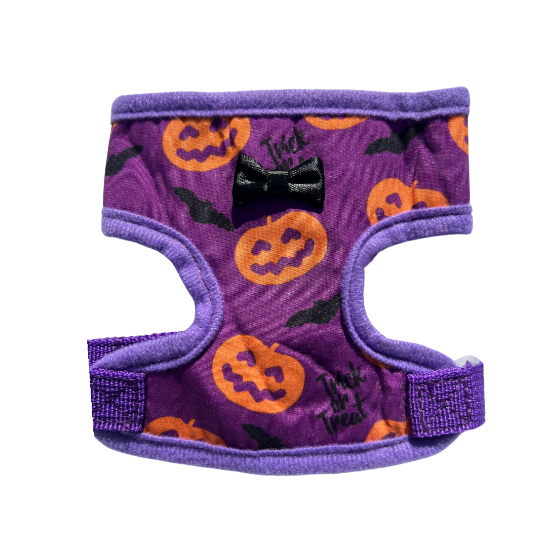 Halloween-Themed Pet Harness
