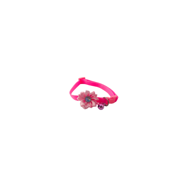 Flower Collars