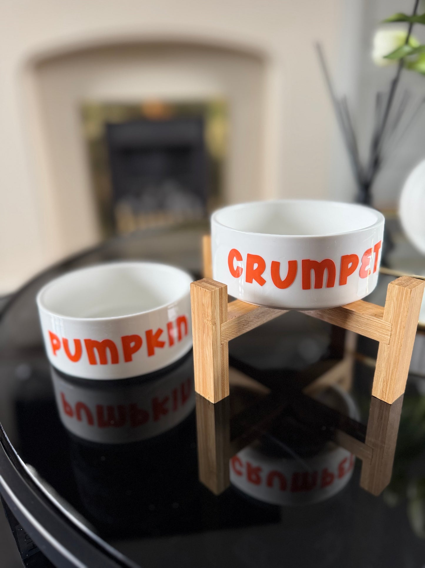 Personalised Pet Bowl – Custom Name & Fun Sayings