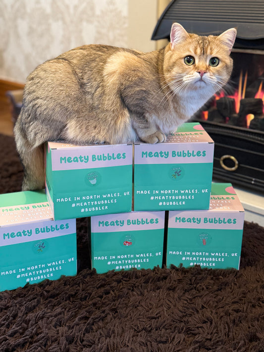 Smokey Bacon Meaty Bubbles