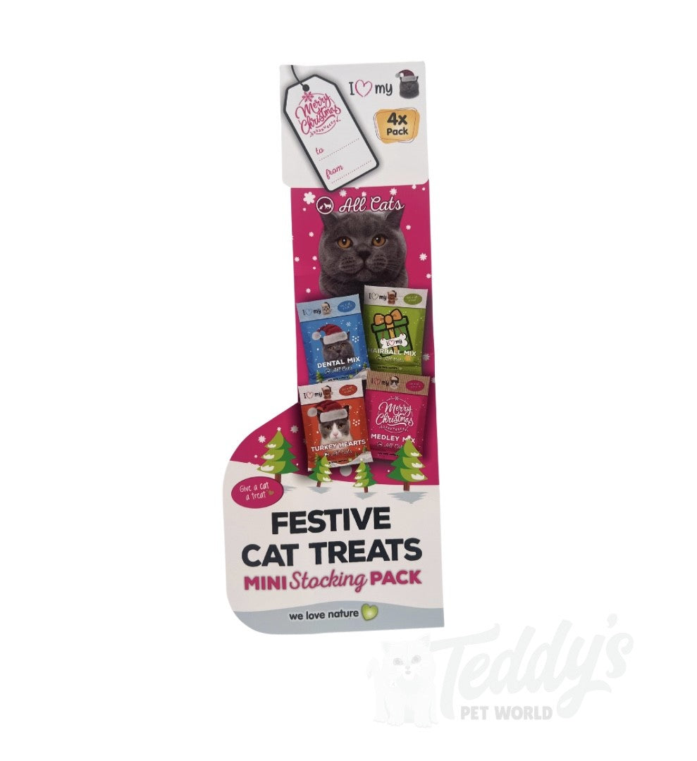 Festive Cat Treats Stocking