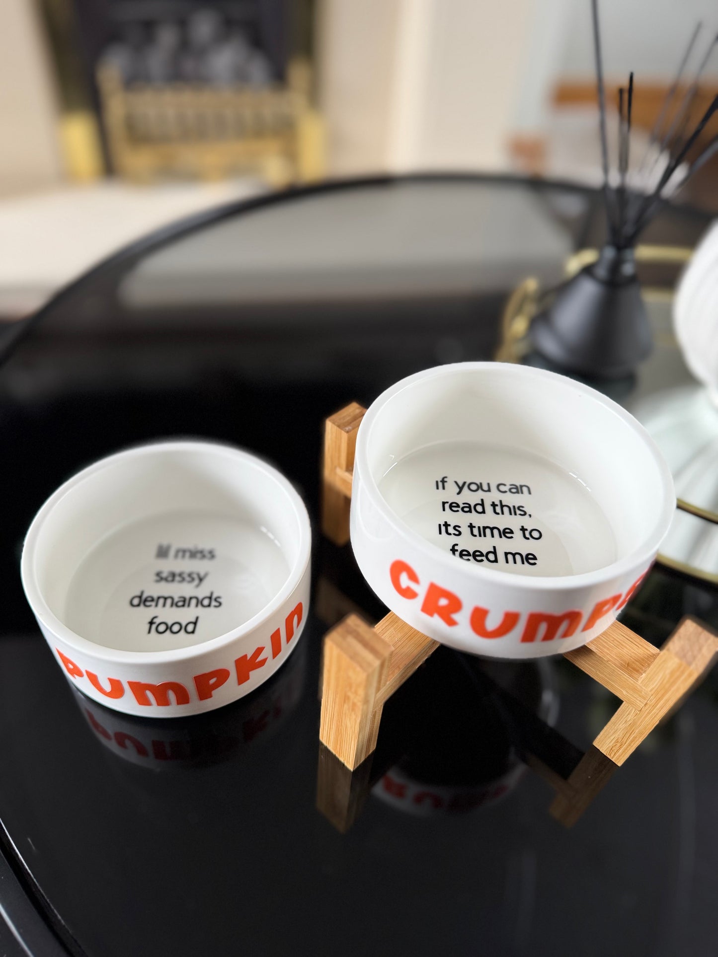 Personalised Pet Bowl – Custom Name & Fun Sayings