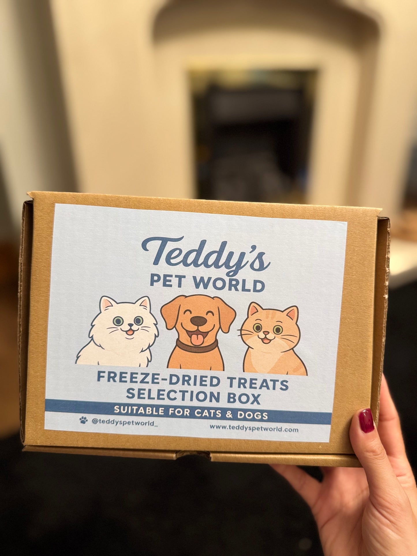 Teddy’s Pet World Freeze-Dried Treats Selection Box
