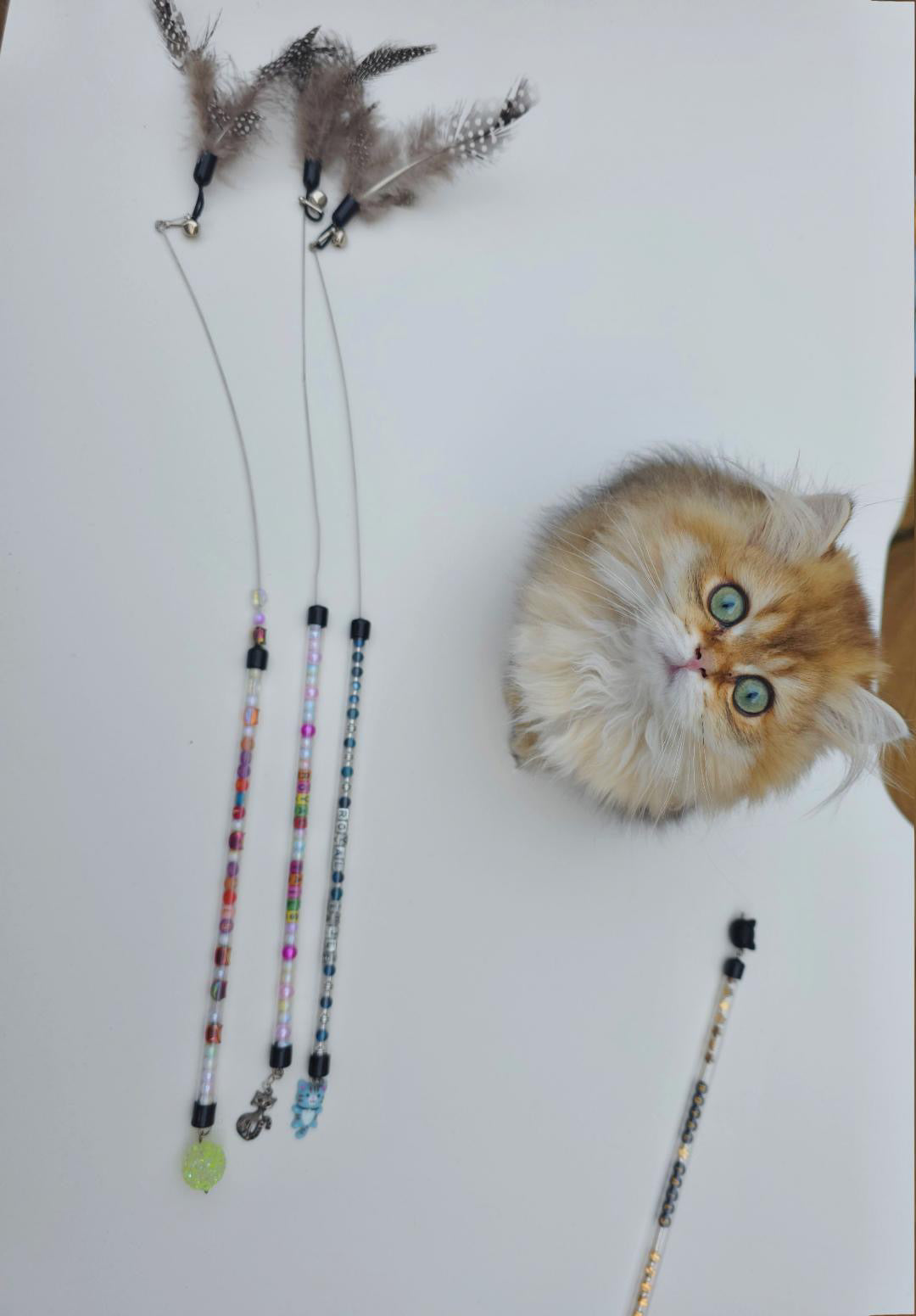 Personalised Cat Teaser