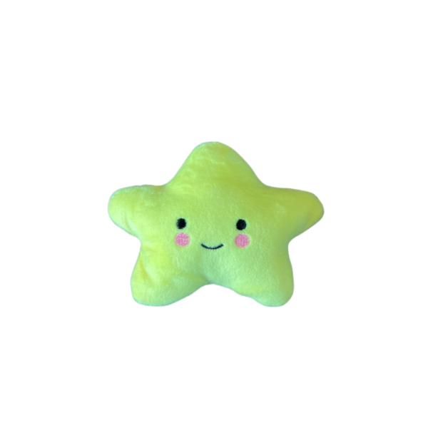 Catnip Star Plush Toys