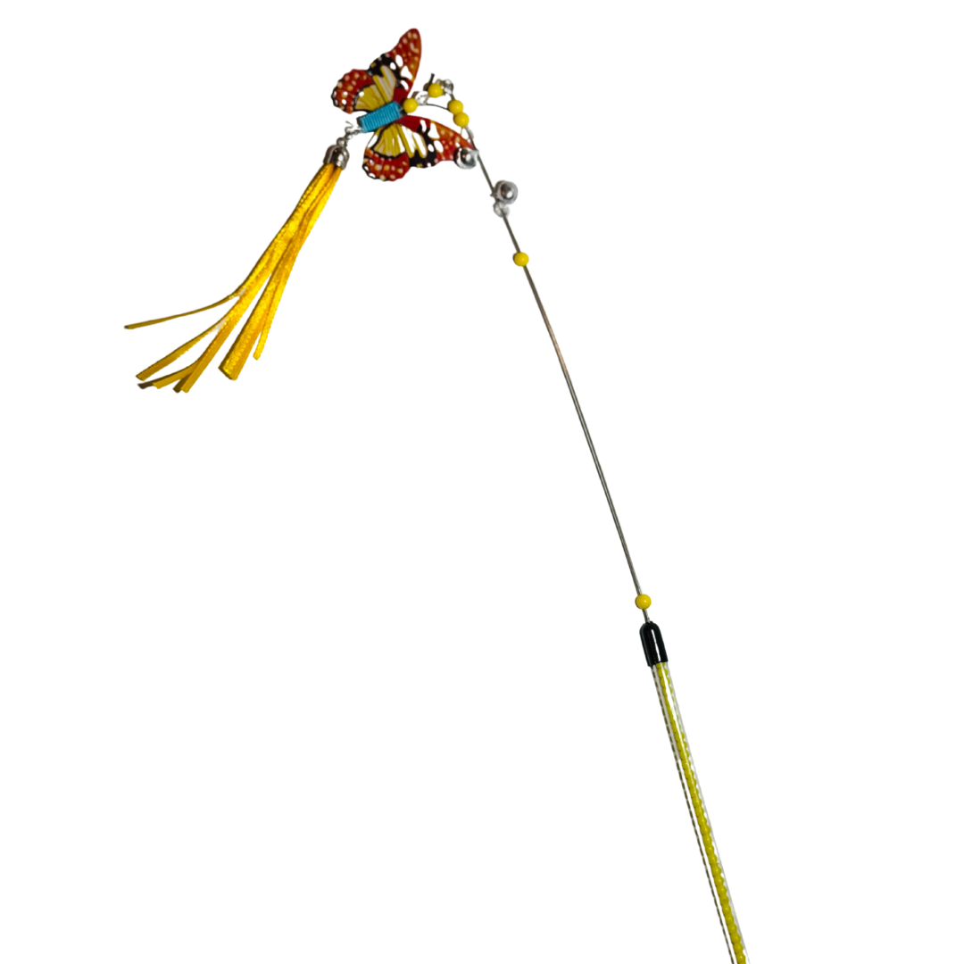 Butterfly Cat Teaser