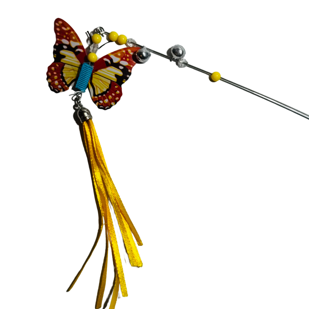 Butterfly Cat Teaser