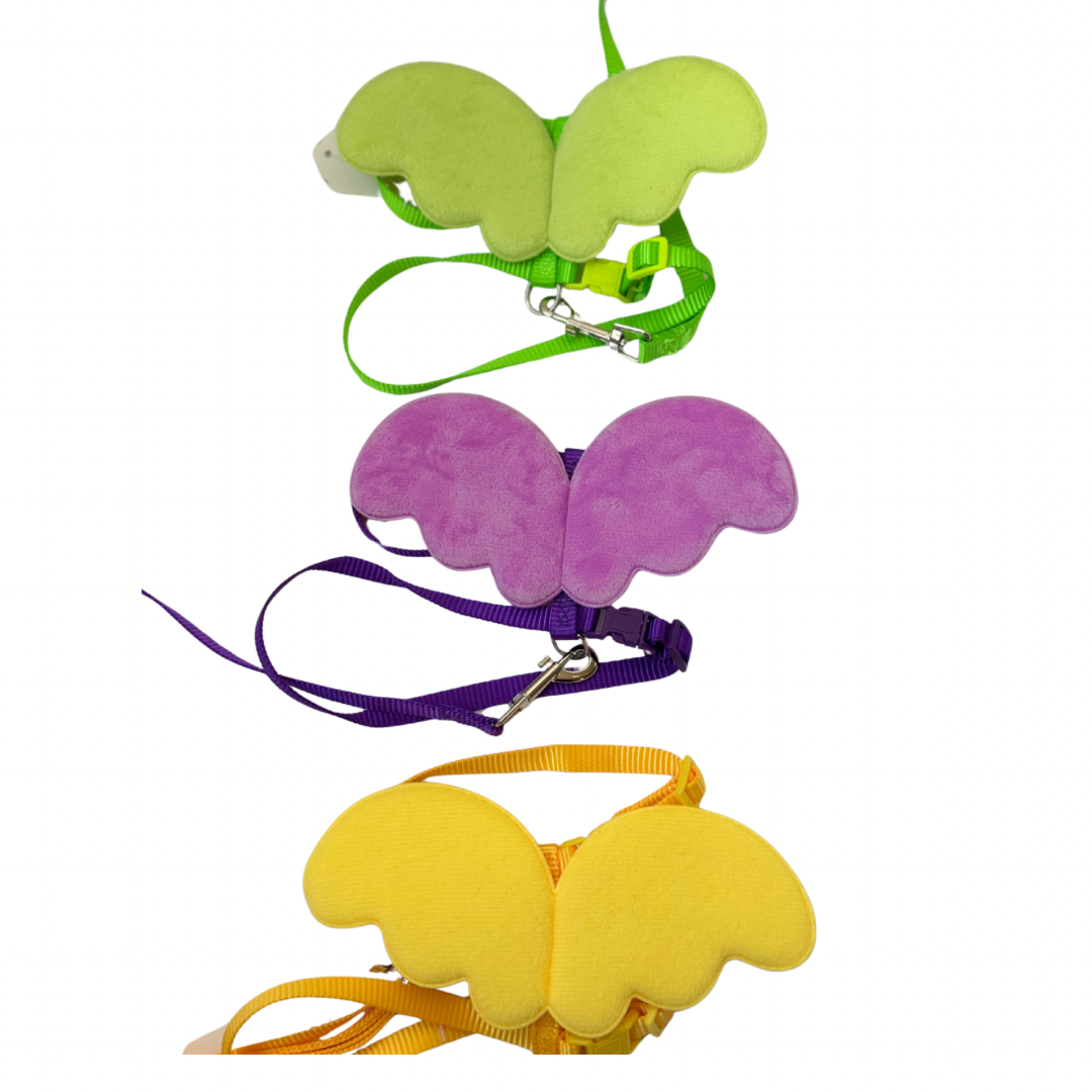 Angel Wing Pet Harness & Lead