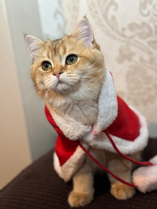Santa Cape