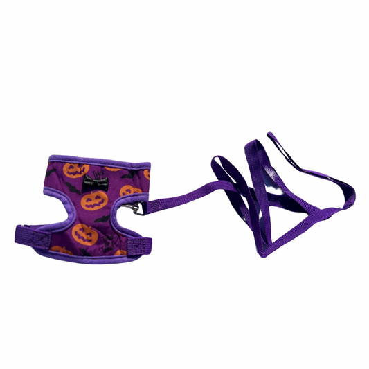 Halloween-Themed Pet Harness